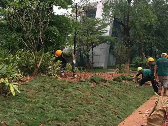 瑞视恒通控股集团：园林绿化施工企业税收政策汇总及筹划